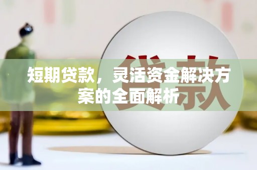 凤山短期贷款，灵活资金解决方案的全面解析