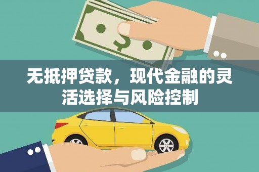 凤山无抵押贷款，现代金融的灵活选择与风险控制