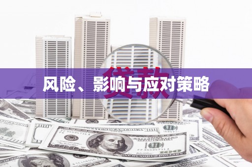 凤山风险、影响与应对策略