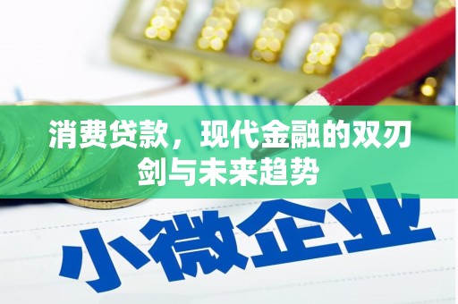 凤山消费贷款，现代金融的双刃剑与未来趋势