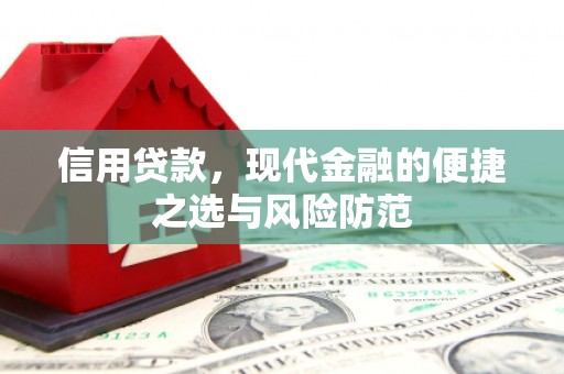 凤山信用贷款，现代金融的便捷之选与风险防范