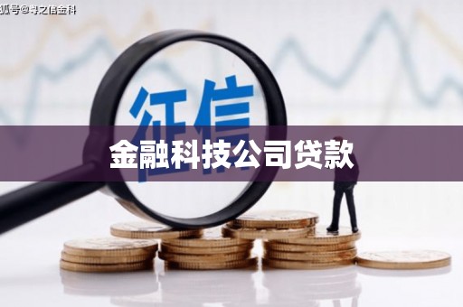 凤山金融科技公司贷款
