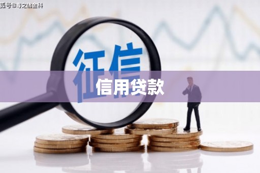 凤山信用贷款