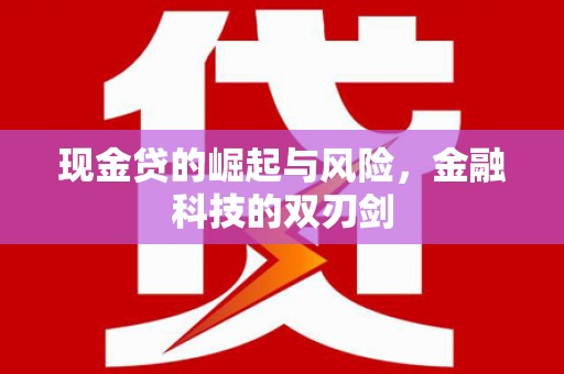 凤山现金贷的崛起与风险，金融科技的双刃剑