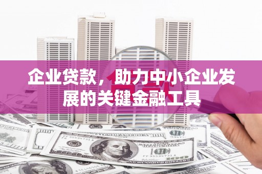 凤山企业贷款，助力中小企业发展的关键金融工具