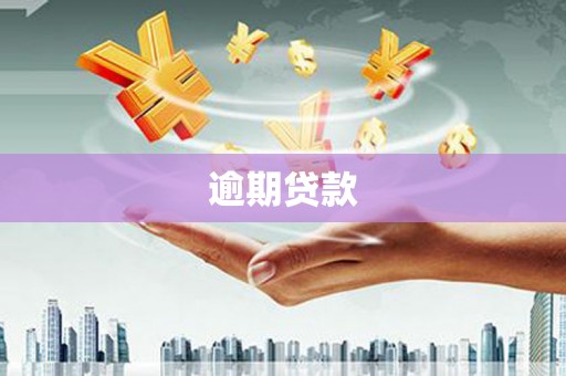 凤山逾期贷款