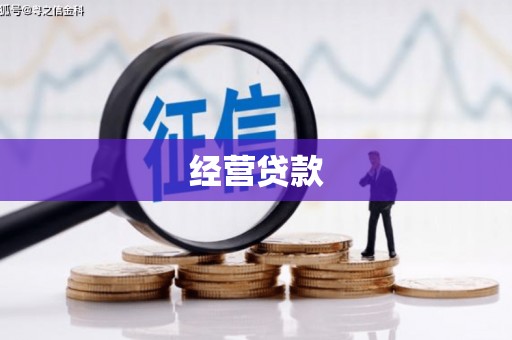凤山经营贷款