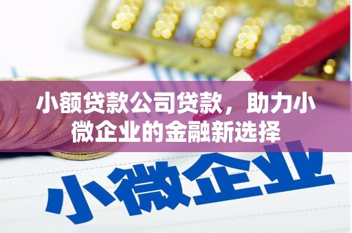 凤山小额贷款公司贷款，助力小微企业的金融新选择