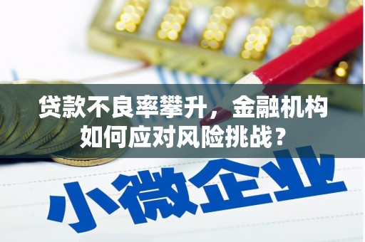 凤山贷款不良率攀升，金融机构如何应对风险挑战？