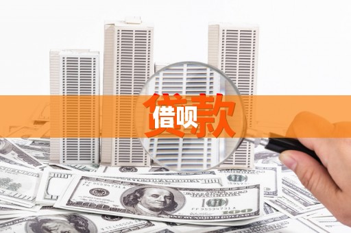 凤山借呗