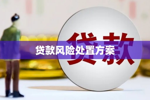 凤山贷款风险处置方案