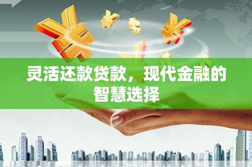 凤山灵活还款贷款，现代金融的智慧选择
