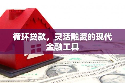 凤山循环贷款，灵活融资的现代金融工具