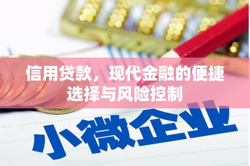 凤山信用贷款，现代金融的便捷选择与风险控制