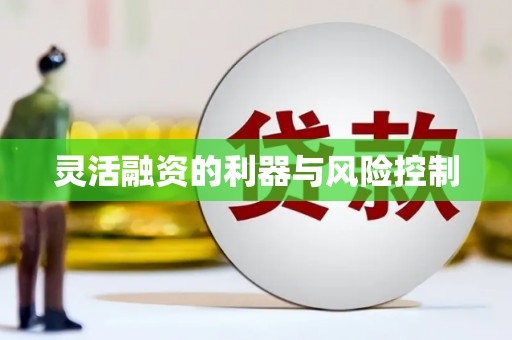 凤山灵活融资的利器与风险控制