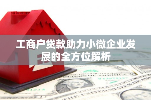 凤山工商户贷款助力小微企业发展的全方位解析