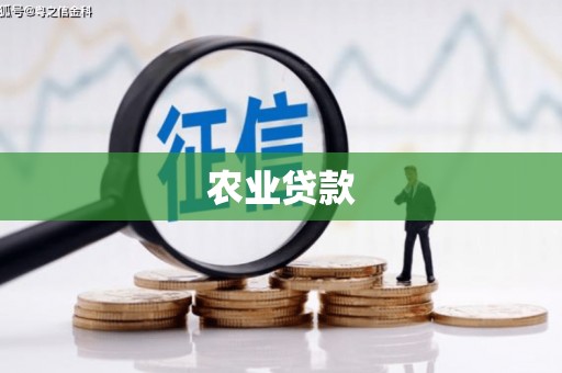 凤山农业贷款