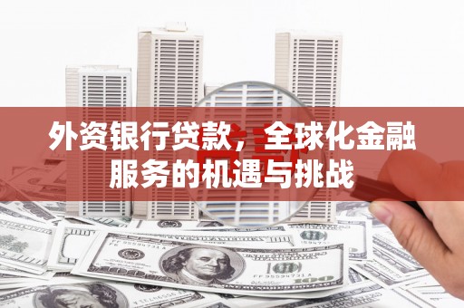 凤山外资银行贷款，全球化金融服务的机遇与挑战