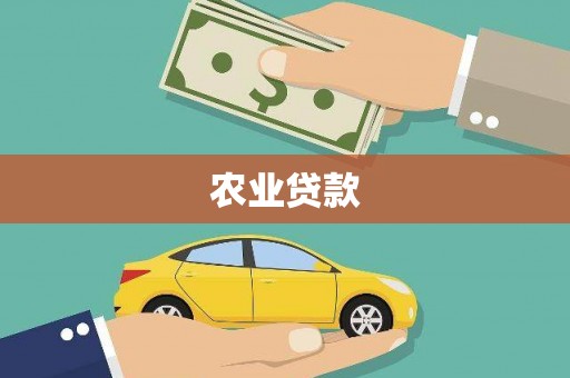 凤山农业贷款