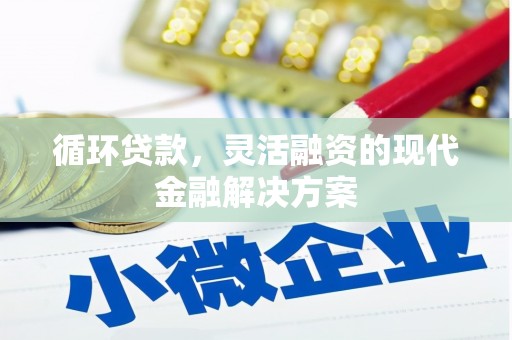 凤山循环贷款，灵活融资的现代金融解决方案