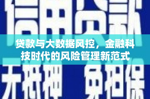 凤山贷款与大数据风控，金融科技时代的风险管理新范式