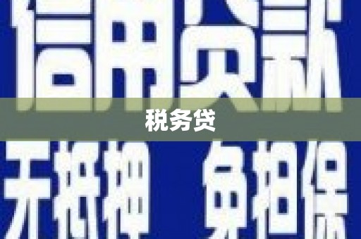 凤山税务贷