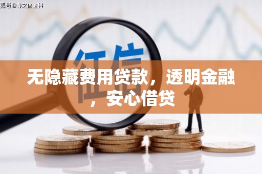 凤山无隐藏费用贷款，透明金融，安心借贷