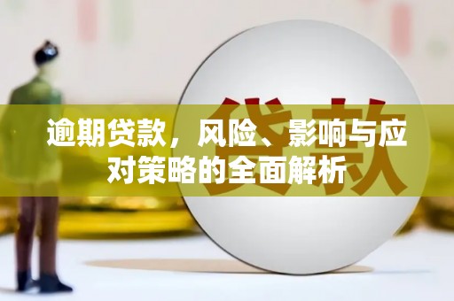凤山逾期贷款，风险、影响与应对策略的全面解析