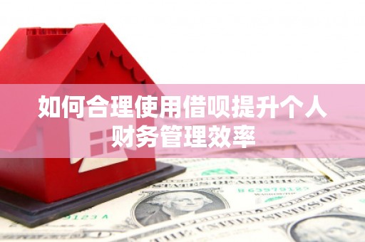 凤山如何合理使用借呗提升个人财务管理效率