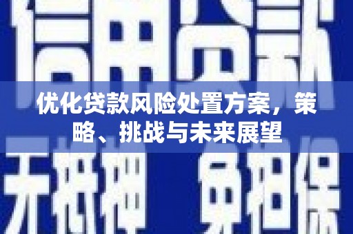 凤山优化贷款风险处置方案，策略、挑战与未来展望