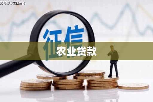 凤山农业贷款
