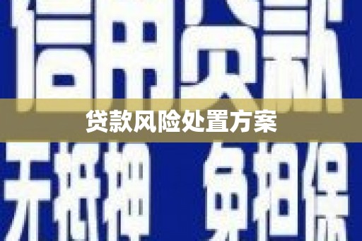 凤山贷款风险处置方案