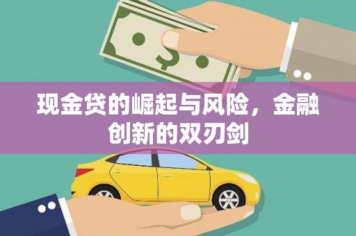凤山现金贷的崛起与风险，金融创新的双刃剑