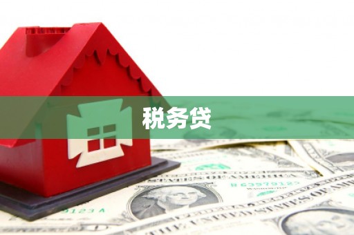 凤山税务贷