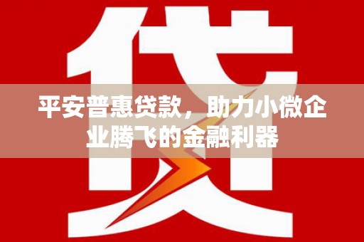 凤山平安普惠贷款，助力小微企业腾飞的金融利器