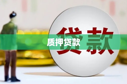 凤山质押贷款