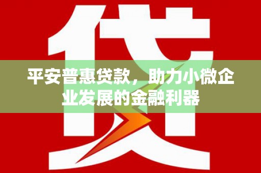 凤山平安普惠贷款，助力小微企业发展的金融利器