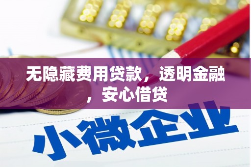 凤山无隐藏费用贷款，透明金融，安心借贷