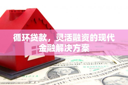 凤山循环贷款，灵活融资的现代金融解决方案