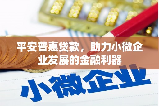 凤山平安普惠贷款，助力小微企业发展的金融利器