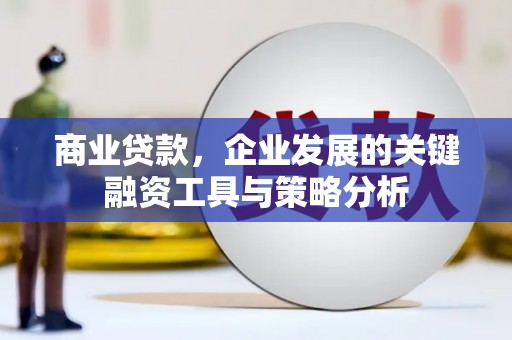 凤山商业贷款，企业发展的关键融资工具与策略分析