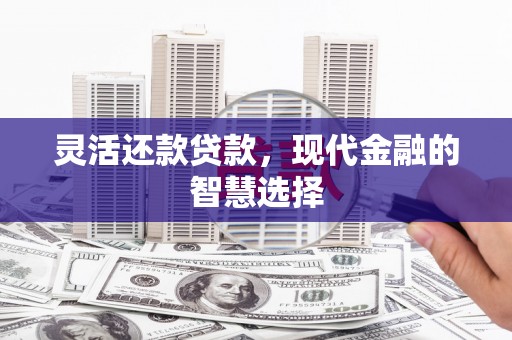 凤山灵活还款贷款，现代金融的智慧选择