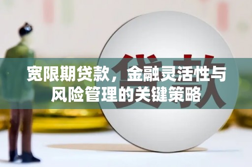 凤山宽限期贷款，金融灵活性与风险管理的关键策略