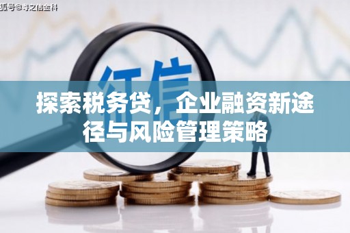 凤山探索税务贷，企业融资新途径与风险管理策略