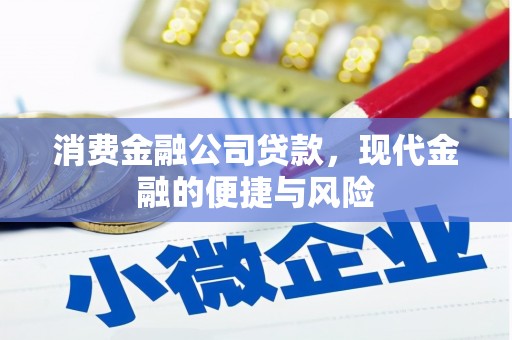 凤山消费金融公司贷款，现代金融的便捷与风险