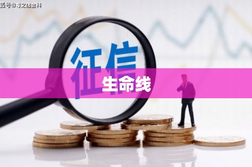 凤山生命线