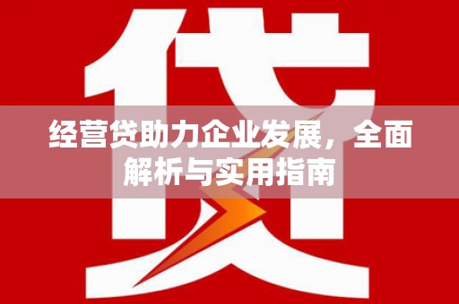 凤山经营贷助力企业发展，全面解析与实用指南