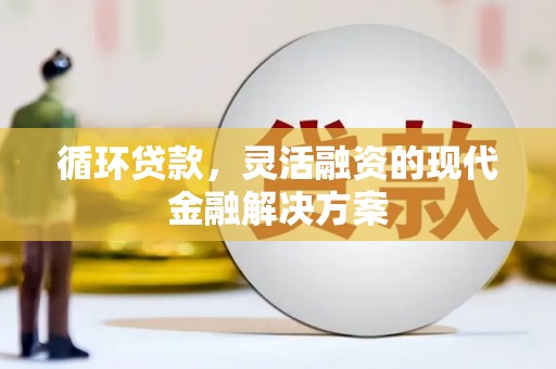 凤山循环贷款，灵活融资的现代金融解决方案