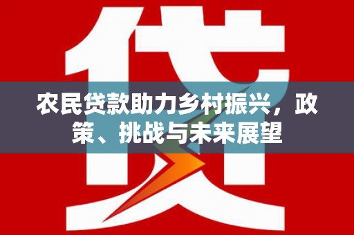凤山农民贷款助力乡村振兴，政策、挑战与未来展望