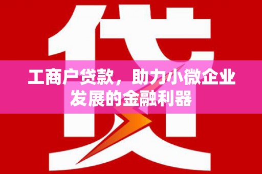 凤山工商户贷款，助力小微企业发展的金融利器